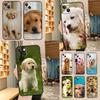 Golden Retriever Dog For Huawei Nova 12i 11i 8i 12s Y73 Y72 Y61 Y91 Y90 Y70 Y60 9 10 SE P60 Pro P30 P40 Lite Case