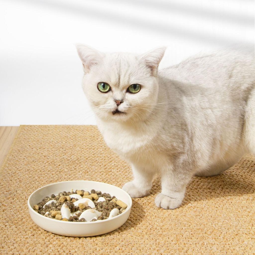 Slow Food for Cats and Dogs  Pet Healthy Anti-Chinging Rice Cat Bowl Slow Food Dog Bowl for Cats and Dogs Pet Supplies