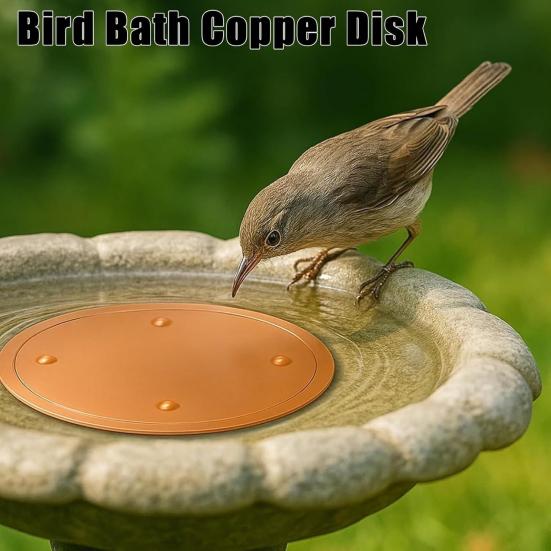 Copper Birds Bath Purification Disk 0.6mm 99.99% Pure Copper Cleaning Disk for Outdoor Birdbath Bowl Garden Fountain