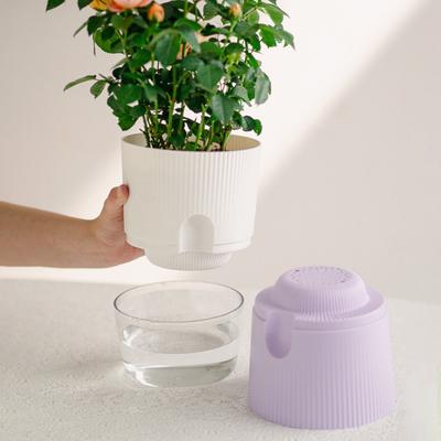 Samozavlažovací květináč Orchidejové knotové šňůrky Květináč s květináčem s drenážními otvory Průhledná voda