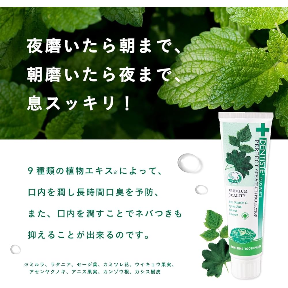 Dentis Etiquette Toothpaste Mint Flavor 100g Oral Care Product