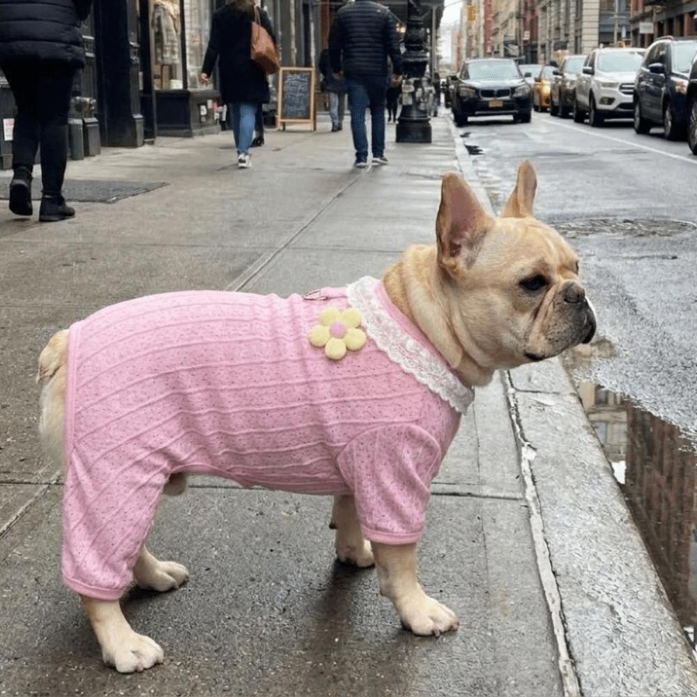 Anti-Mosquito Dog Cooling Clothes Hollow Mesh Four Legged Clothes Summer Pet Apparel Travel