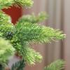 Artificial Christmas Tree, Realistic Look, Flame-Retardant, Sturdy Metal Base, 183 cm, Green