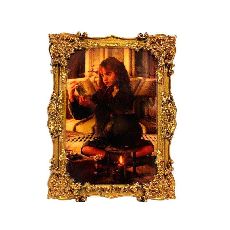 Licensed Harry Potter 3D Night Light Magnet with Adjustable Brightness – Warner Bros. Pocket Mirror