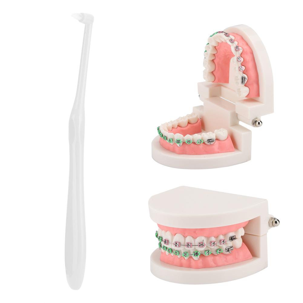 3pcs Orthodontic Toothbrush Small Head Teeth Braces Dental Cleaning ToothbrushWhite