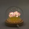 Floral Glow Garden Dome – 20 Tulips – LED USB
