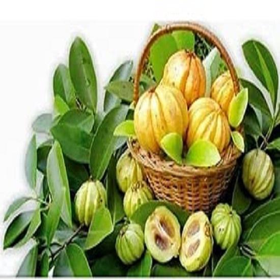Kudampuli Or Malabar Tamarind 250gm