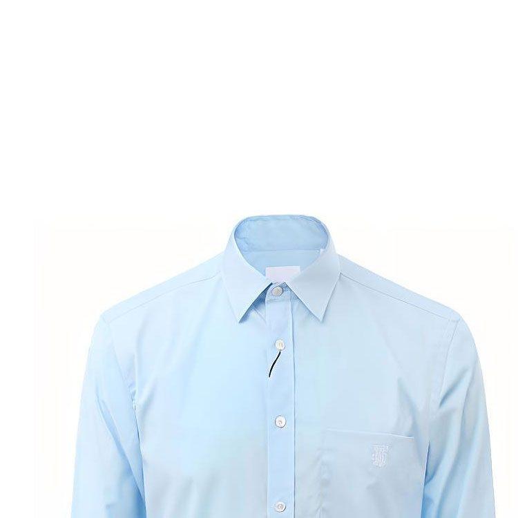 Burberry Shirts Men's Blue Lapel Moderate Other 80113701