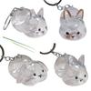 Clear Rabbit Shape Pet Hair Memorial Keychain Portable Keepsakes Storage Box Pendant With Tweezer For Pet Owners Gift