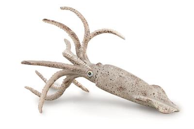 COLLECTA Dinosaur Figure Belemnite 88904