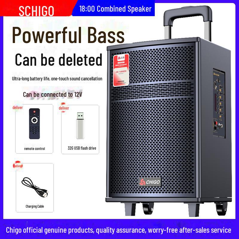 Chigo High-Power Outdoor Bluetooth Trolley Speaker for Music & Karaoke
