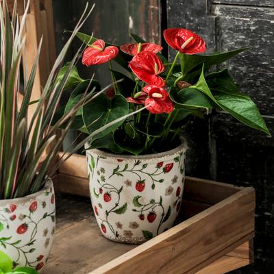 Vaas Vintage Keramiek Desktop Decoratie Buiten Tuin Speciale Bloempot Huis Binnen Ademend Creatief PastoraleStijl HighSense