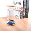 Eco-Friendly Mini Fish Micro-Landscape Aquarium: No-Water-Change Desktop Tank for Betta Fish