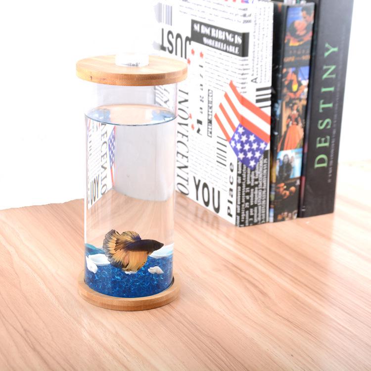 Eco-Friendly Mini Fish Micro-Landscape Aquarium: No-Water-Change Desktop Tank for Betta Fish