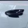 MG4 Mulan Carbon Fiber Rearview Mirror, Fog Light, Door Handle & Edge Trim Set for 2023.