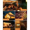 Camping String Lights, Retractable 32.8FT Rechargeable Fairy Light | Quick Storage RGB Flash Lamp Outdoor Waterproof, Portable Hanging Lantern for
