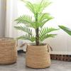 Woven Grass Planter Pot With Breathable Design For Living Room Decor Large Size
