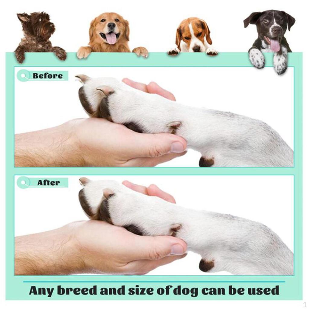 Dog Nail Scratching Pad, Bone Shape, No Grinding, Trimming, Nail, for