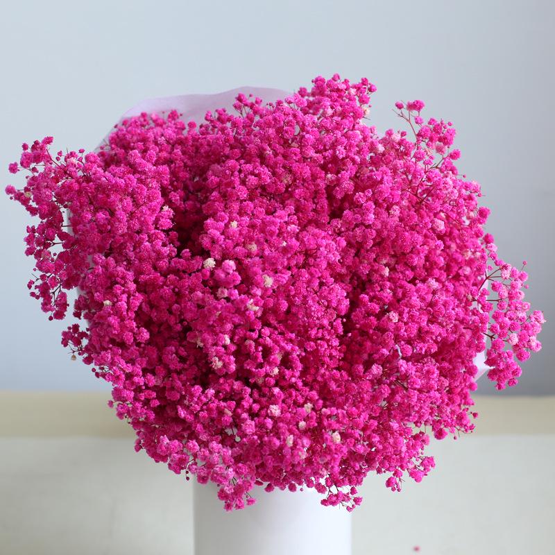 Eternal Gypsophila Bouquet: Color-Absorbing Ilocos Flowers for DIY Floral Arrangements and Wedding Decorations