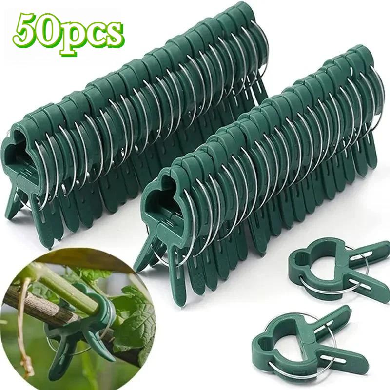 100PCS Adjustable Plant Fixed Clips Reusable Greenhouse Bracket Fixing Stems Flower Vine Tomatoes Fastener Garden Tool