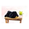 Takeoff Plush Rabbit Maron Holland Lop Black
