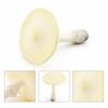 Vegetable Model Fungus Figurines Landscape Miniatures Artificial Simulation Mushroom Teaching Toy Pleurotus Fungus Model