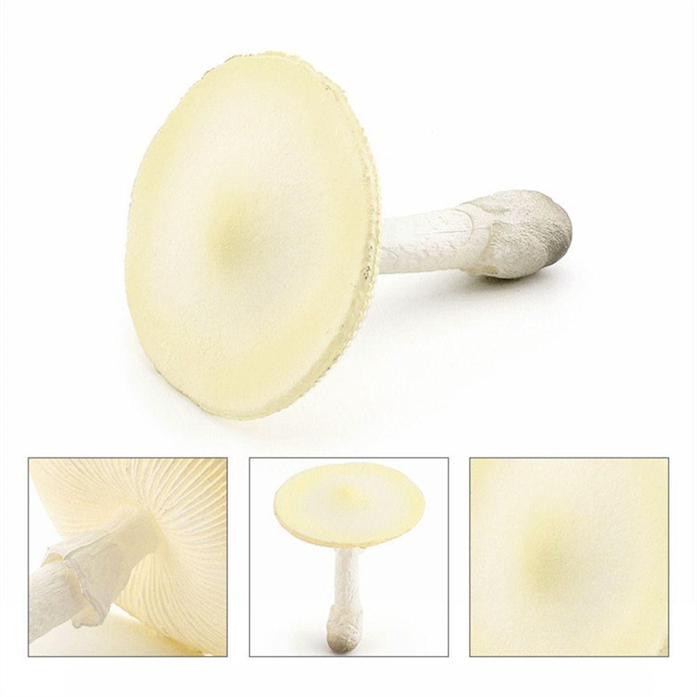 Vegetable Model Fungus Figurines Landscape Miniatures Artificial Simulation Mushroom Teaching Toy Pleurotus Fungus Model