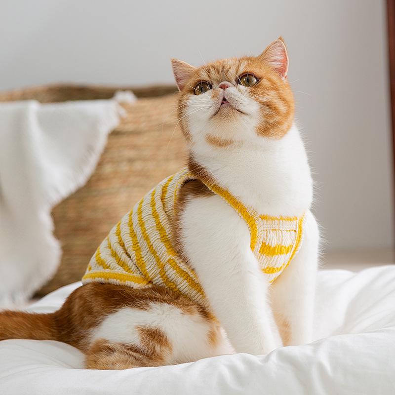 Katzenkleidung Frühling und Sommer dünn atmungsaktiv Sandwich-Kekse Hosenträger blaue Katze Kätzchen Welpe Haustier Weste Katzenkleidung