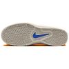 Nike Vertebrae SB Light Iron Ore Cosmic Clay - FD4691-102