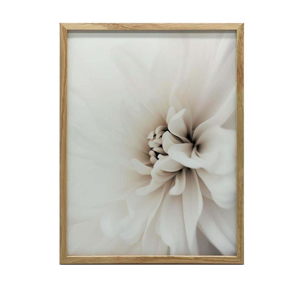 Delicate White Dahlia Delicate White Dahlia, 30X40 Cm, Dark Brown Wooden Frame, 230 Gsm Matte Paper
