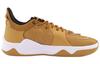 Nike Pg 5 Ep 'Wheat Metallic Gold' CW3146-700