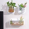 Wall Hanging Aquariums Tanks Office Wall Fish Tanks Wall Mounted Fish Bowl for Modern Home Decoration