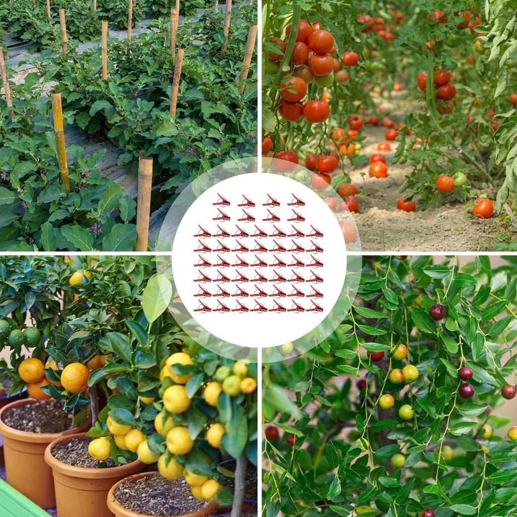 50Pcs Plant Grafting Clip Plastic Plants Graft Clips For Cucumber Watermelon easy to use  Anti-fall Clamp Gardening Tool