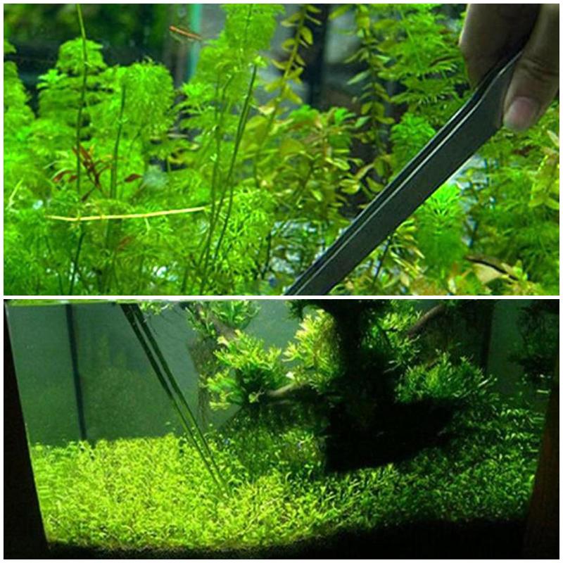 1~10PCS 27CM Fish Tank Coral Feeder Water Grass Clip Stainless Steel Long Tongs Tweezers Aquarium Live Tank Feeding Tong For