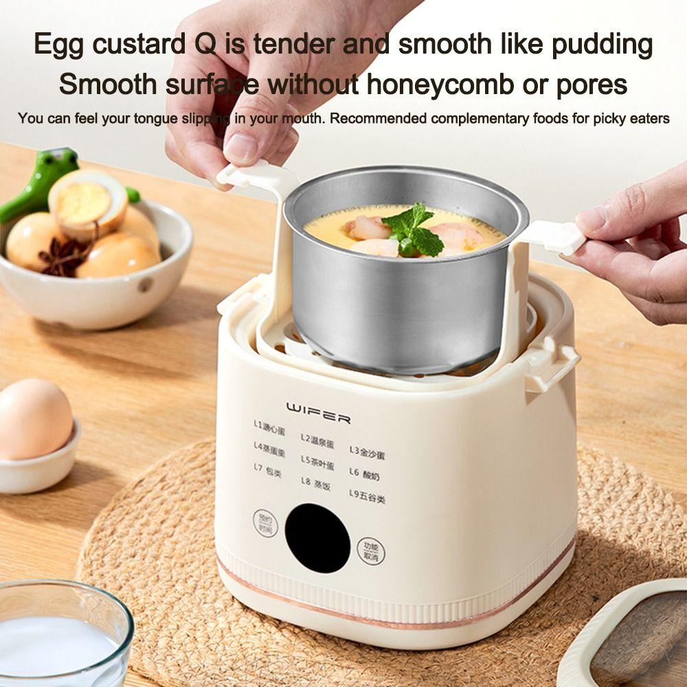 2-Layer Egg Boiler 24-Hour Timing Breakfast Machine Portable Egg Steamer