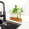 Transparent Glass Hydroponic Plants Container Wooden Stand Glass Tube Vases  Weddings