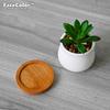 Facecolor Mini Ceramic Cactus Planter Ceramic Set of Succulent Flower Ceramic Succulent Small Planter Pots for Mini Suitable for Mini Bamboo Saucer