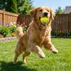 Bite Resistant Dog Chew Ball Latex Teeth Cleaning Toy Cute Squeaky Toy Ball  Small Large Dog