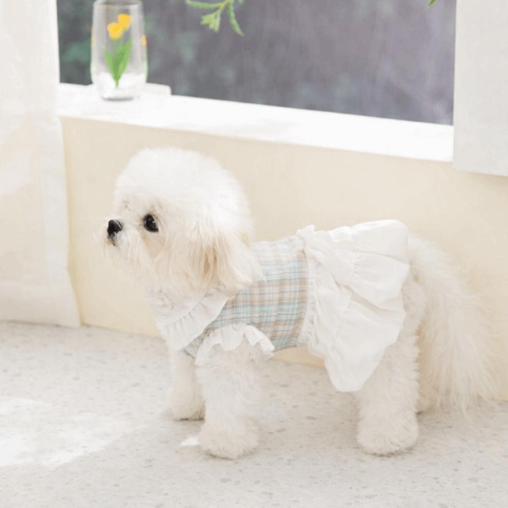 Fashion Ruffled Dog Dress Comfortable Pet Clothes Adorable Dog Vest Dress  Spring