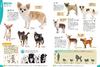 Dogs, Cats, and Pets (Gakken's Illustrated Encyclopedia LIVE)