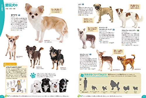 Dogs, Cats, and Pets (Gakken's Illustrated Encyclopedia LIVE)