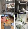 Stainless Steel Parrot Hand-Raising Stand - Durable Cage Rack for Birds