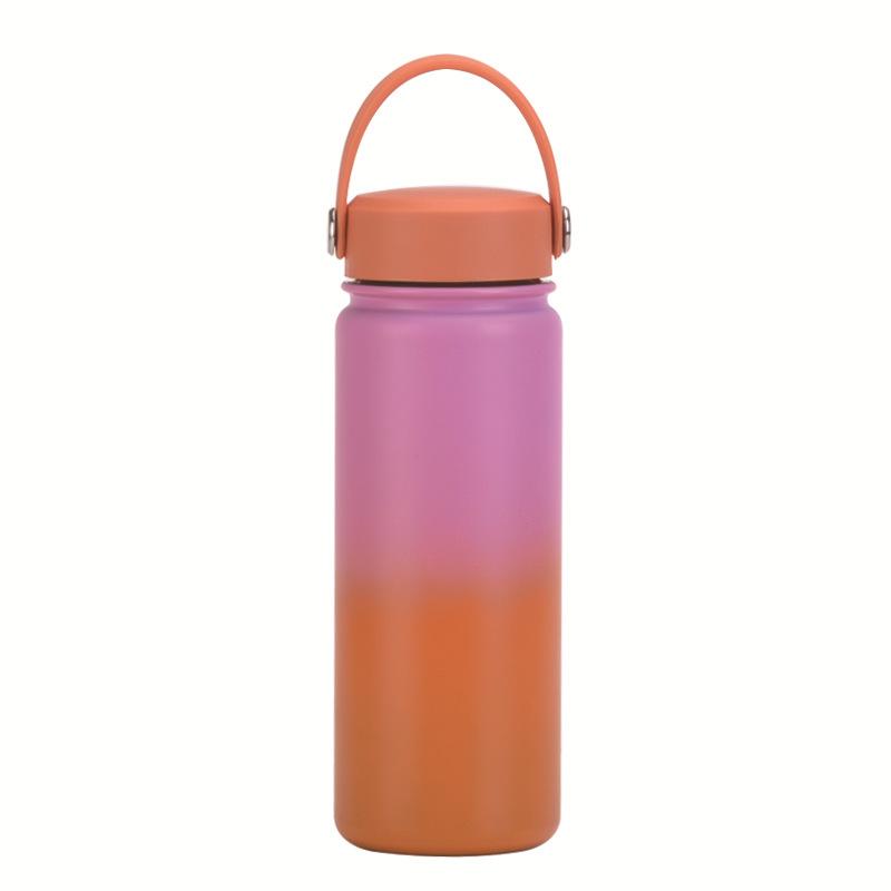 

Stainless Steel Sports Kettle Gradually Change Color Portable Bottle Water Cup Outdoor Thermos Cup 550ml