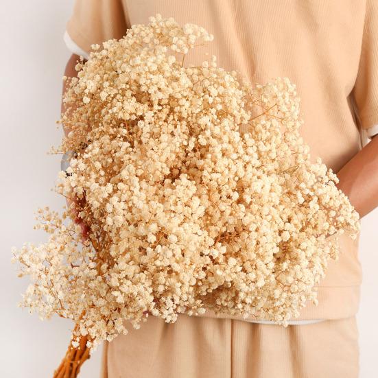 1 Strauß Gypsophila getrocknete Blumen Hochzeit Home Decor DIY Blumenarrangement ewige Blüte Geschenk natürliche konservierte Zweige