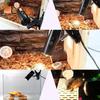 25/50/75W UVA+UVB Reptile Lamp Bulb Turtle Basking UV Light Bulbs Heating Light Full Spectrum Sunlamp for Amphibians Pets Snake