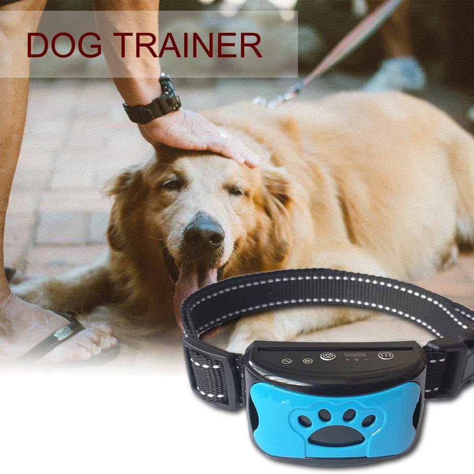 perimeter dog training collars