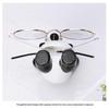 Cute Inverted Panda Glasses Holder Office Desk Glasses Stand Sunglasses Storage Rack Home Bedroom Decoration Ornament
