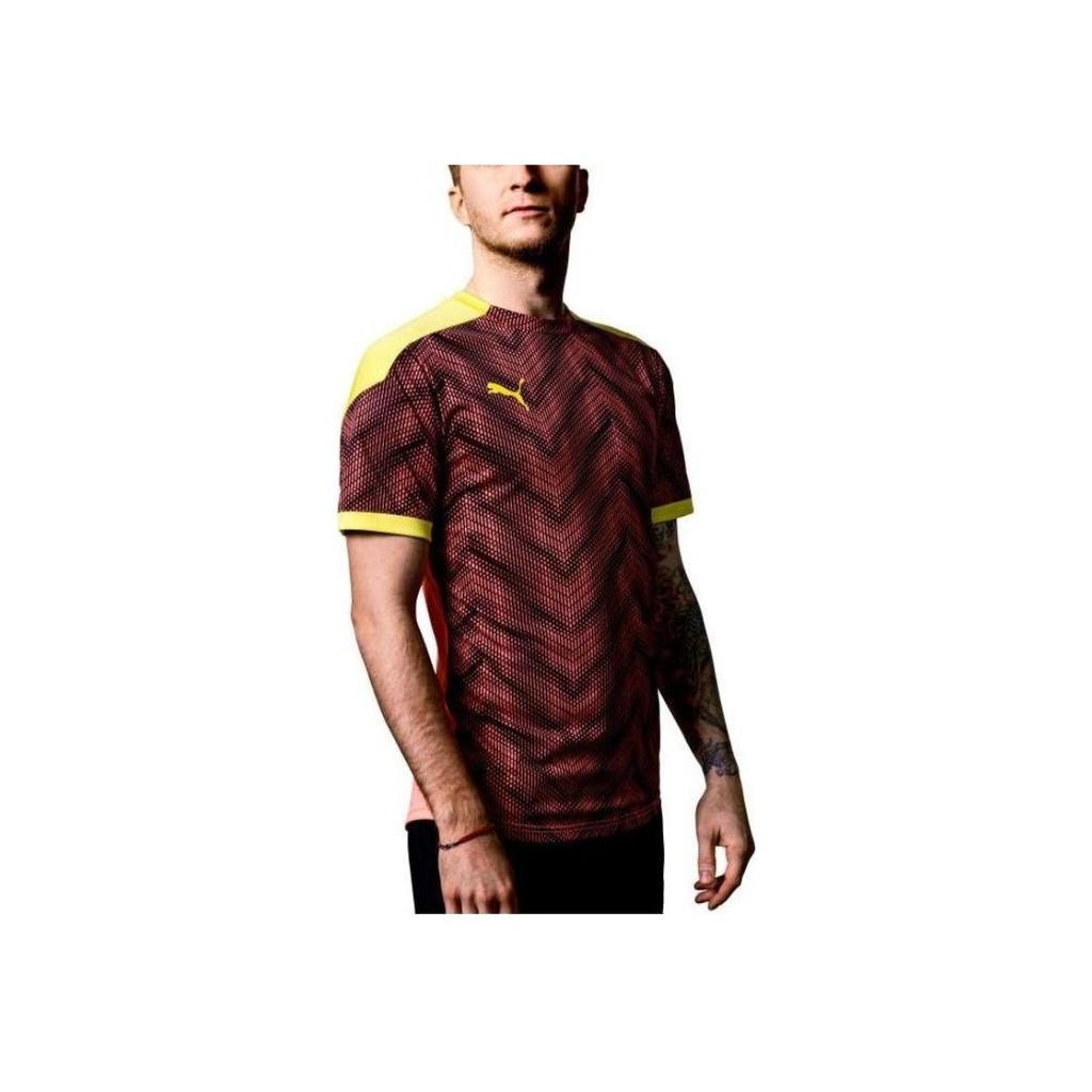 Puma Pánské tričko s krátkým rukávem s logem Color Block Hnědé 656513-06