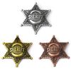 Spilla Stella Esagonale Metallo Lega Spilla Accessorio Antiruggine Per Evento Formale Abbigliamento Casual Design Chiusura Sicura Badge