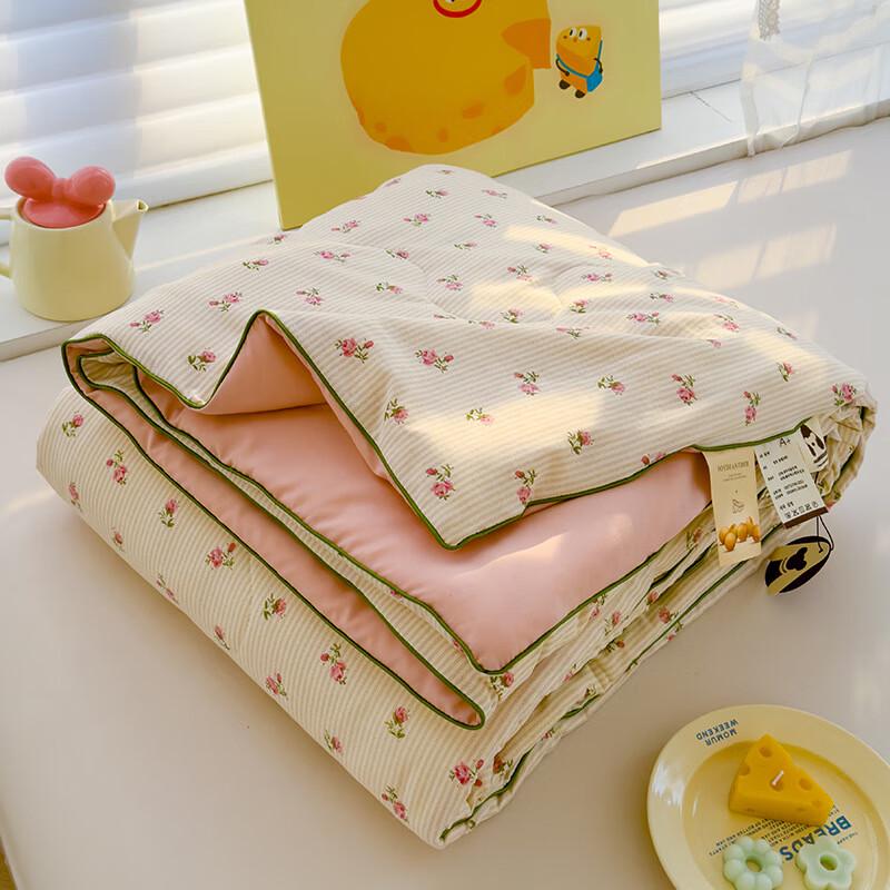 Ailan Huijia Cartoon Washed Cotton Summer Quilt